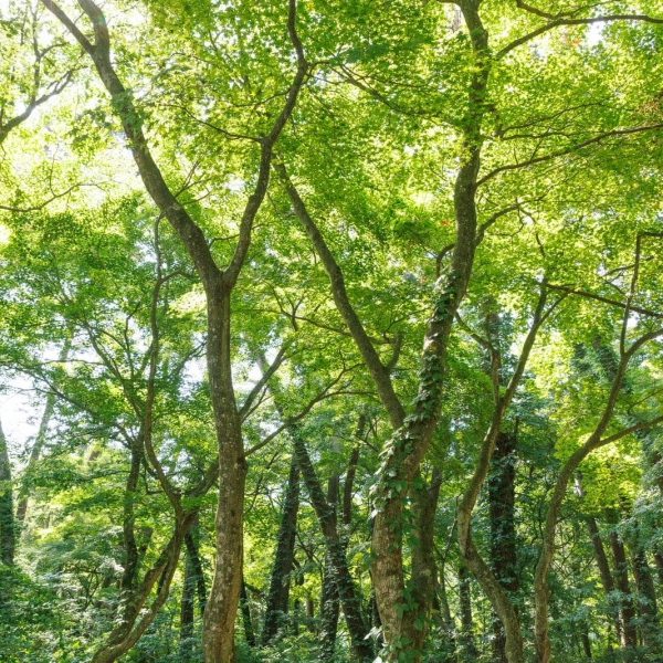 余裕